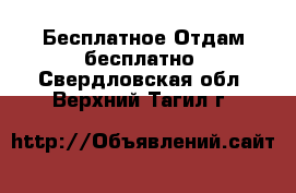 Бесплатное Отдам бесплатно. Свердловская обл.,Верхний Тагил г.